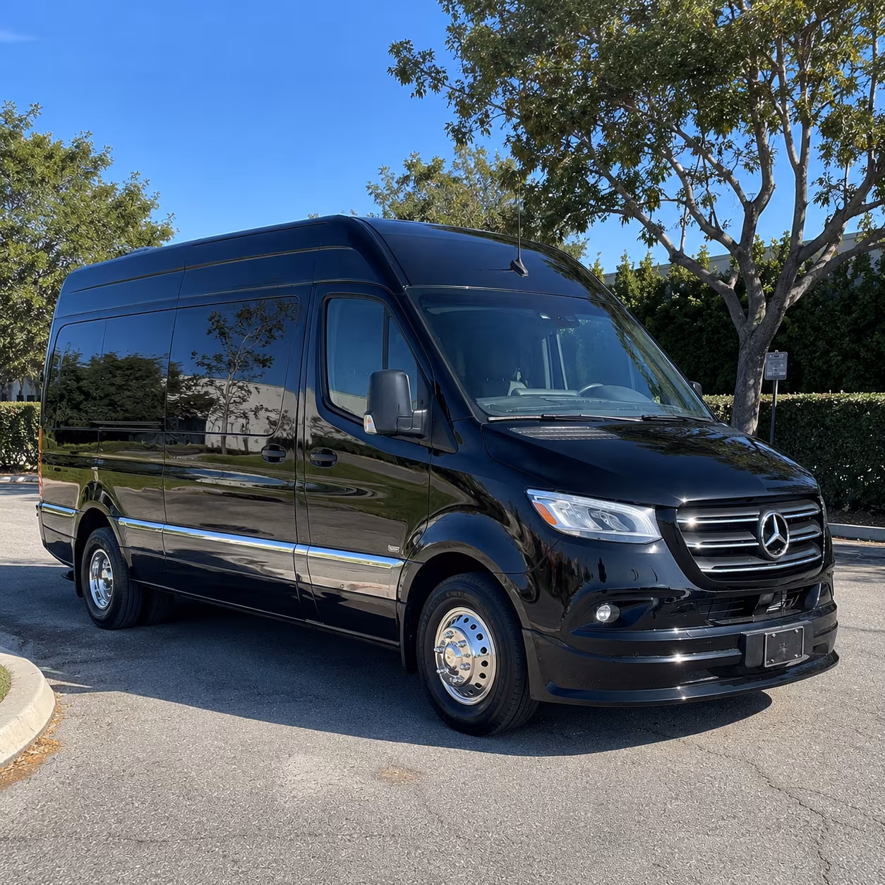 sprinter van with driver